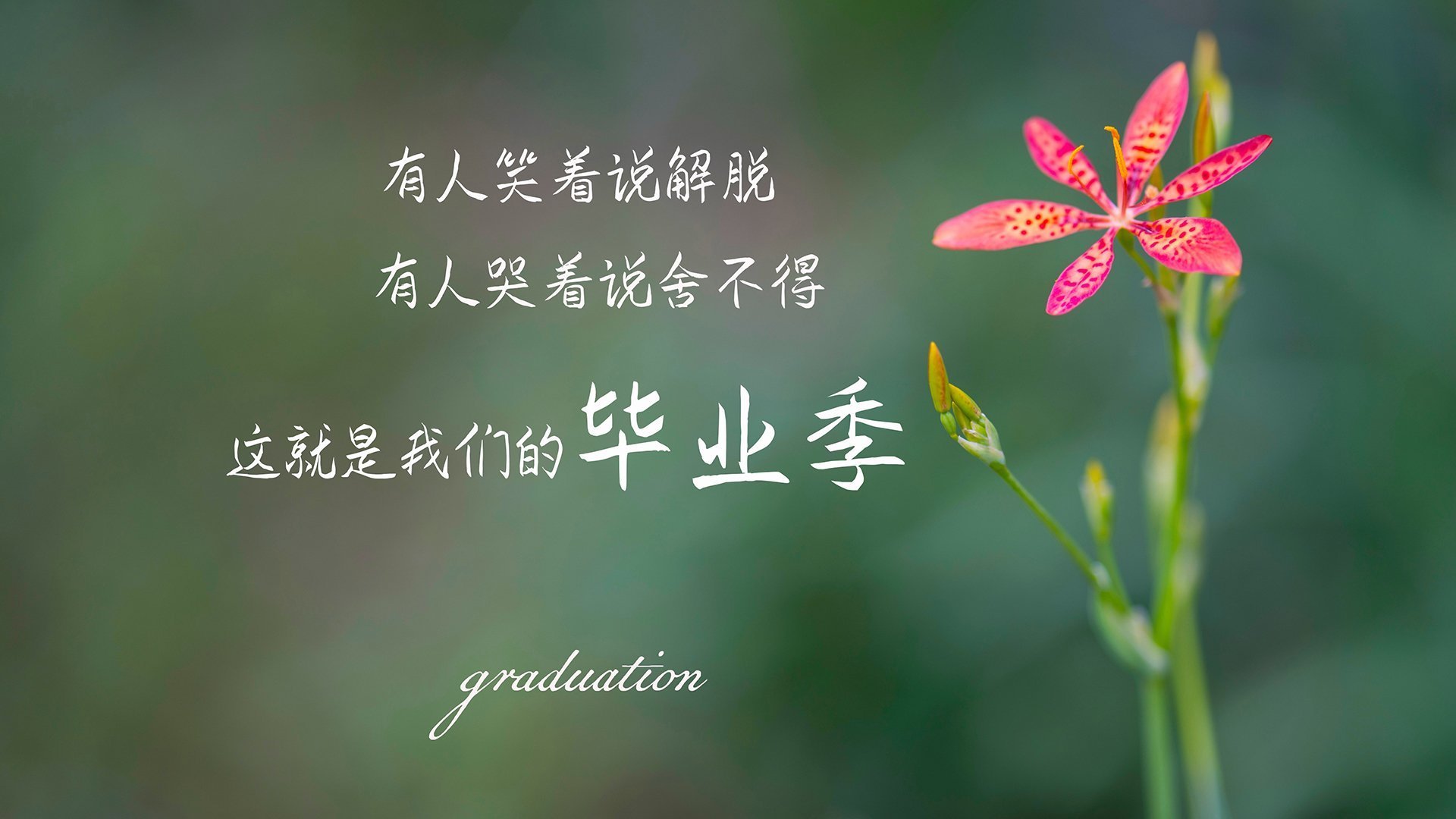 比利时主力伤退，德国裁减补充队员备战关键一战，比利时 德国