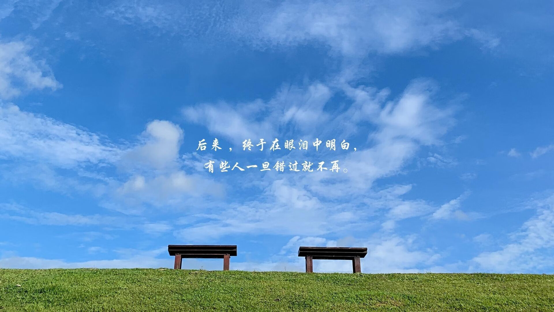 中国女足迎战世界杯预选赛 跌宕剧情引热议，中国女足世预赛战绩
