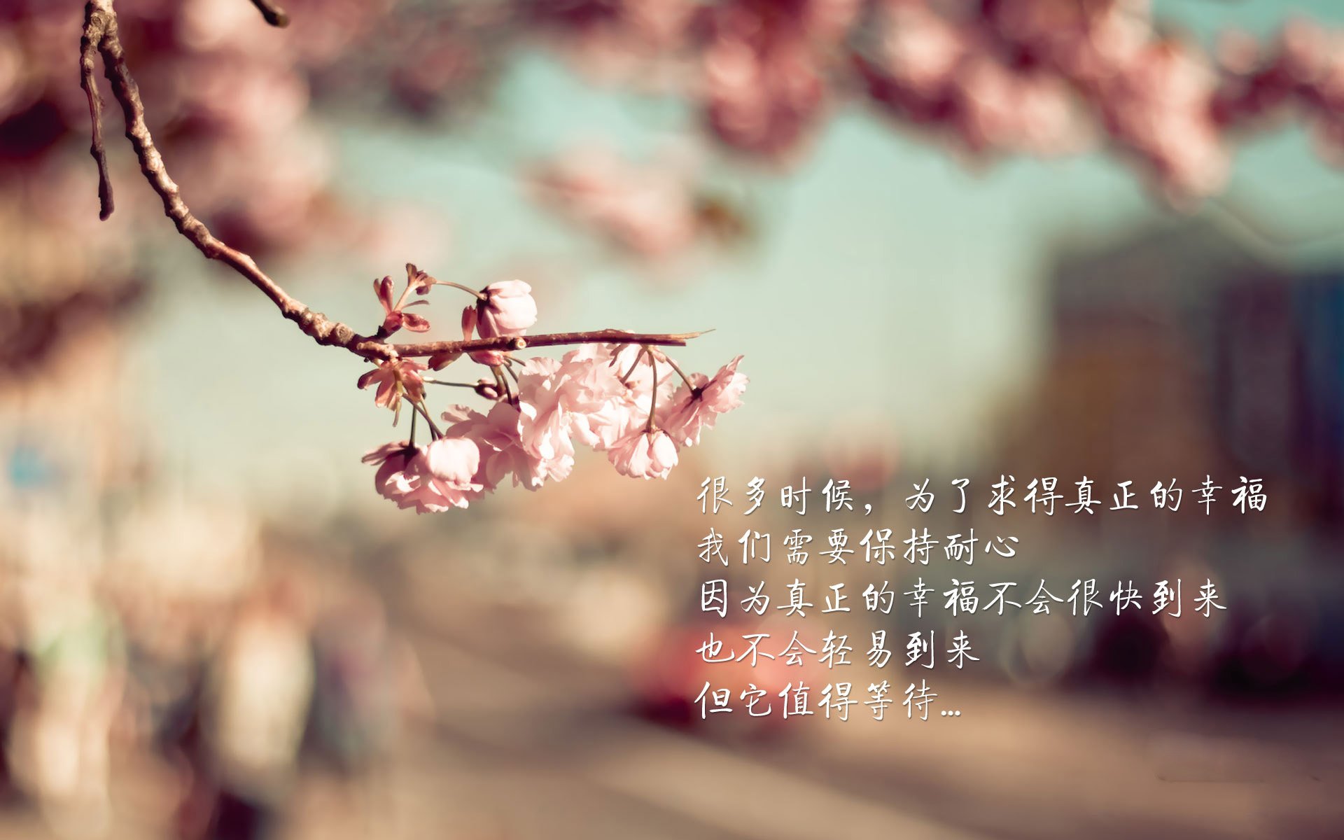 体育新闻中心上线智能体育赛事数据分析系统，2020国家体育总局智能体育大赛