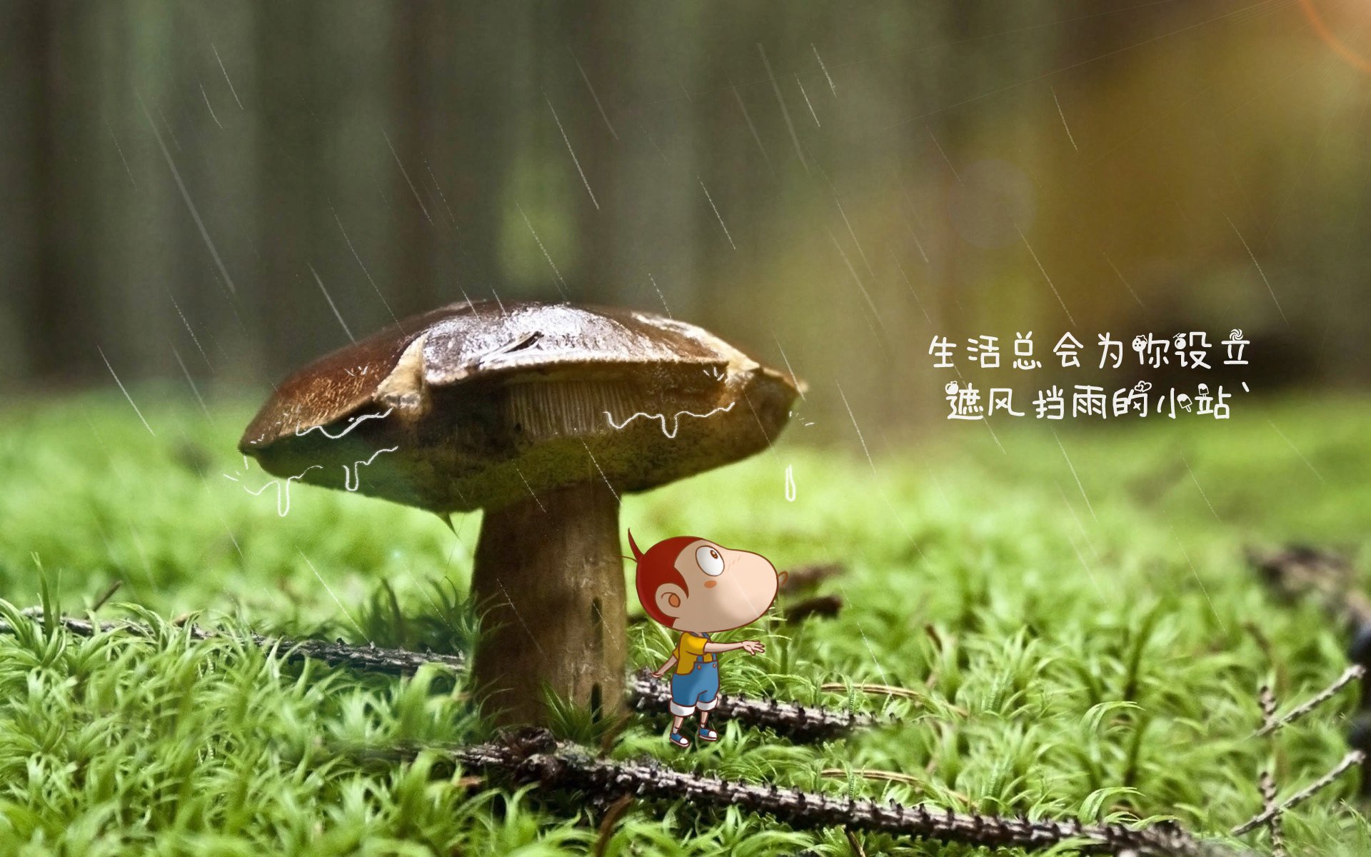 男子100自出发入水角度优化