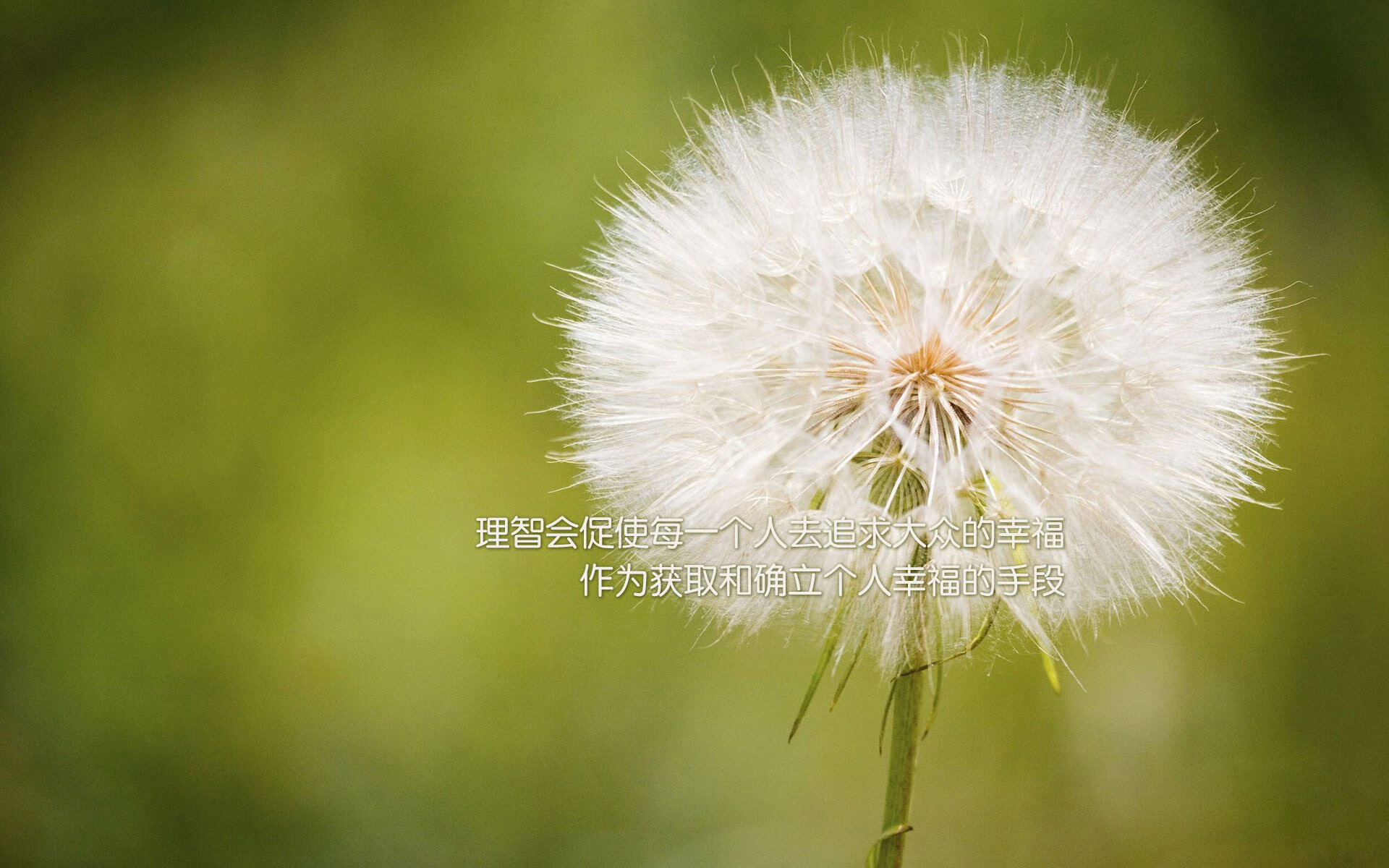 节奏是否是判断一支球队战术成熟度的关键参数,节奏型球员